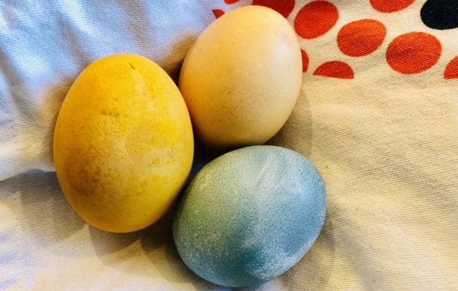 Tre färgade ägg - gult, blått och ljusrött
